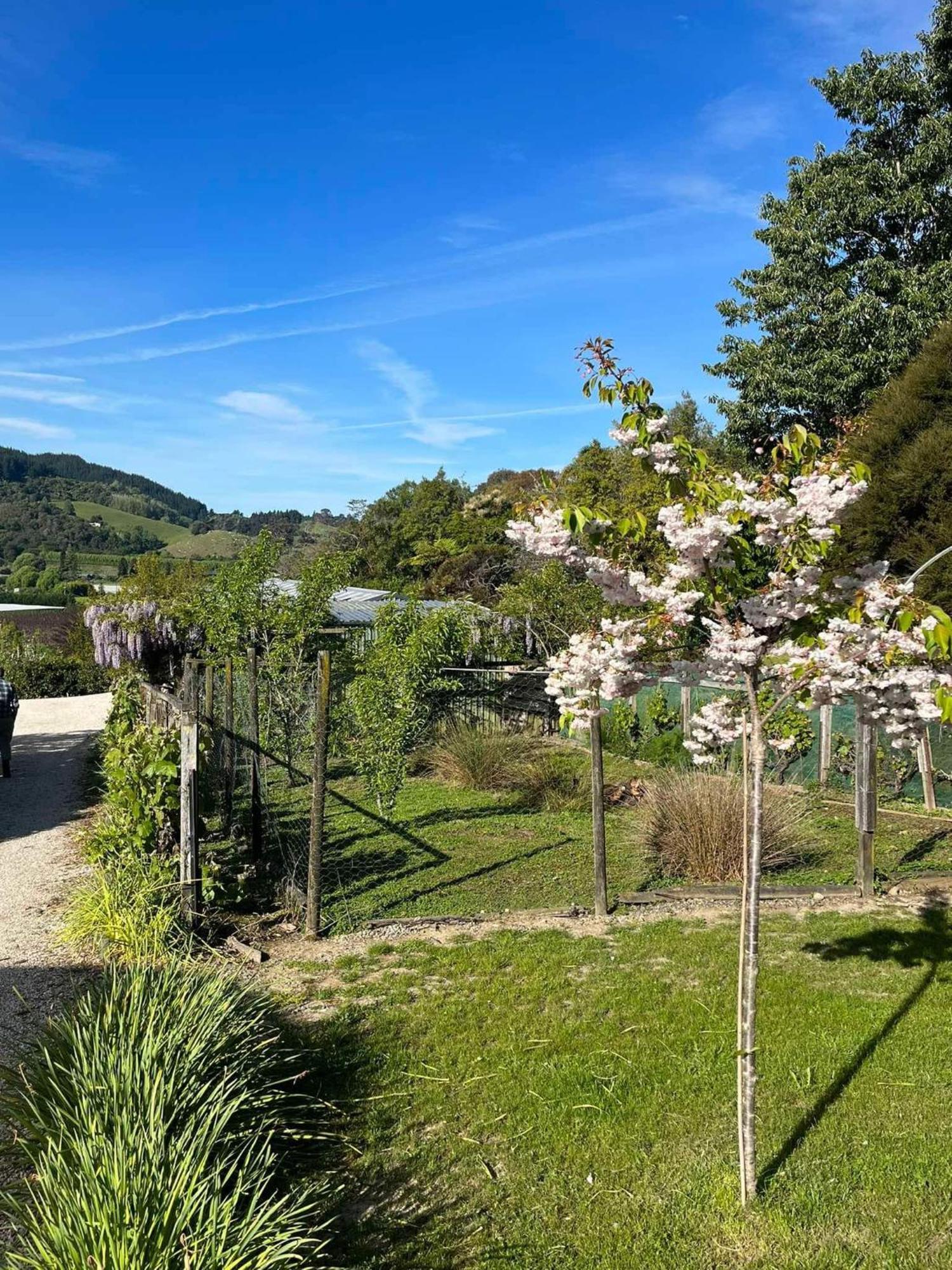 Terraced Chalets Motueka Zewnętrze zdjęcie